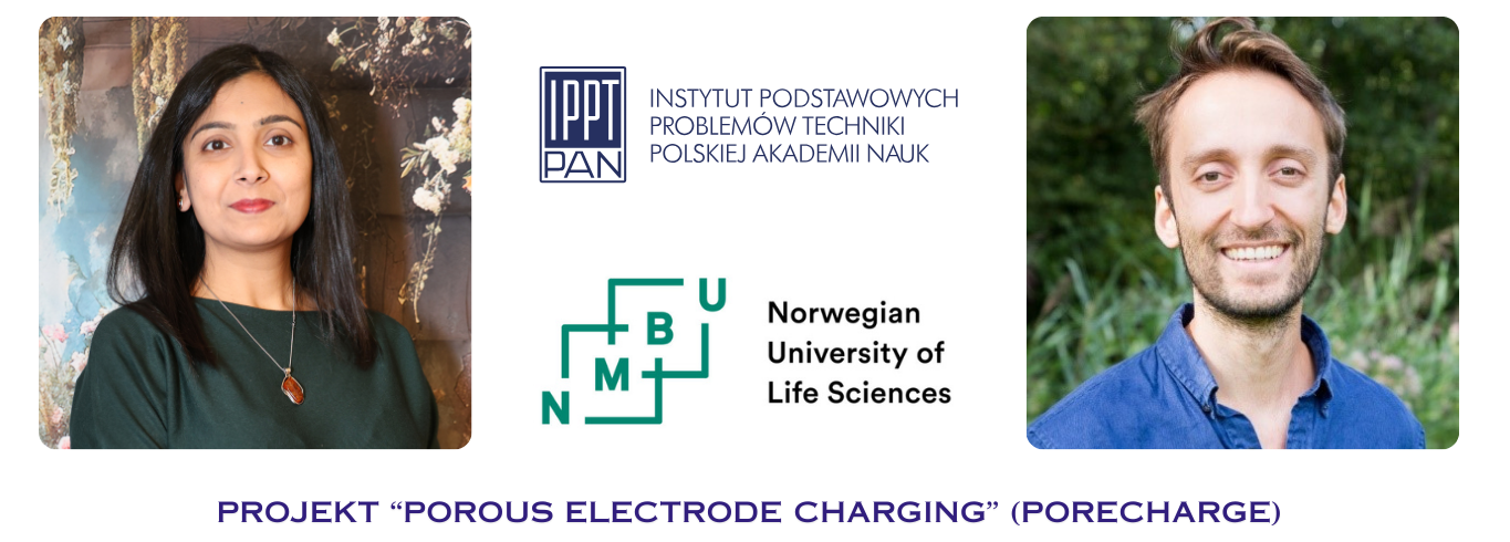 Projekt POROUS ELECTRODE CHARGING